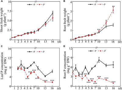 Characterization of Purple Acid Phosphatase Family and Functional Analysis of GmPAP7a/7b Involved in Extracellular ATP Utilization in Soybean